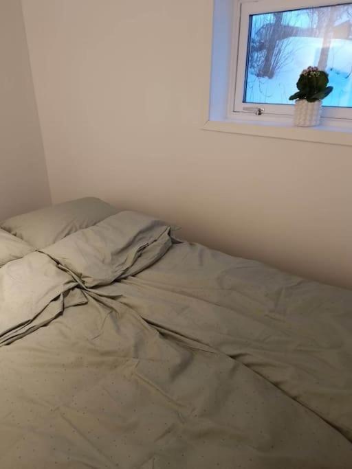 Cozy Close To Downtown Appartement *